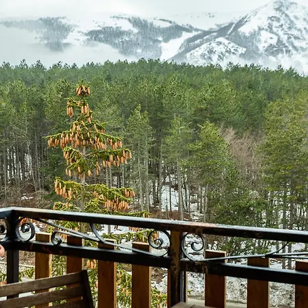 Loft Deluxe Magnolia -